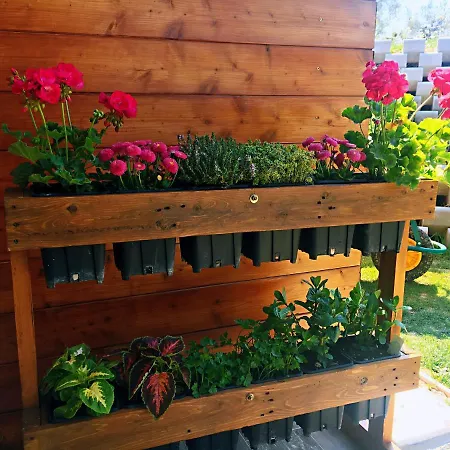 Di Carlone Pianella (Pescara)