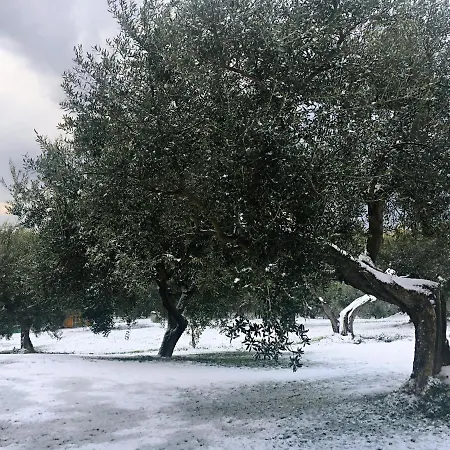 Villa Di Carlone *