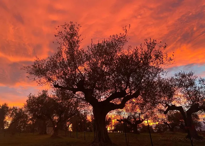 Di Carlone Villa Moscufo